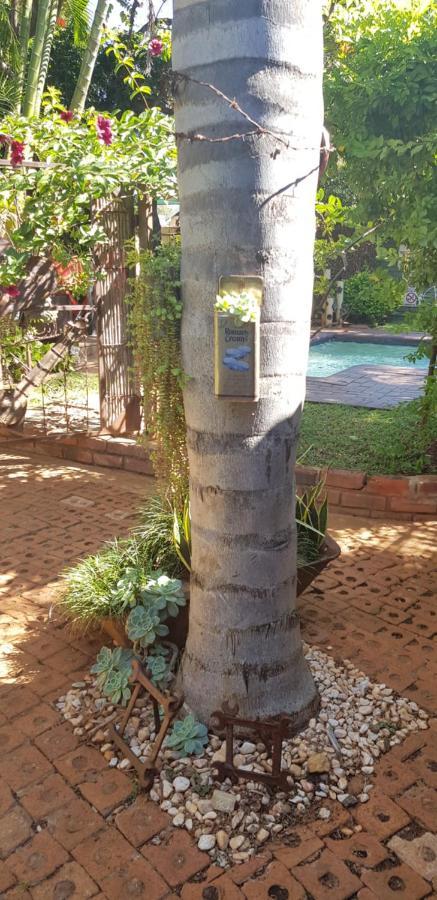 Africas Eden Guesthouse Mookgophong Kültér fotó